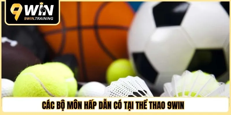 Các bộ môn hấp dẫn có tại thể thao 9WIN 