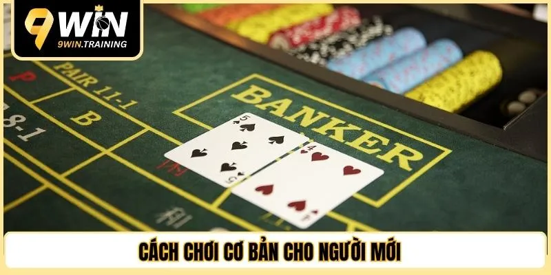 Cách chơi cơ bản cho người mới 