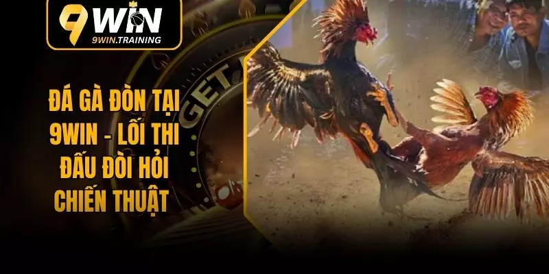 Đá Gà Đòn Tại 9WIN – Lối Thi Đấu Đòi Hỏi Chiến Thuật